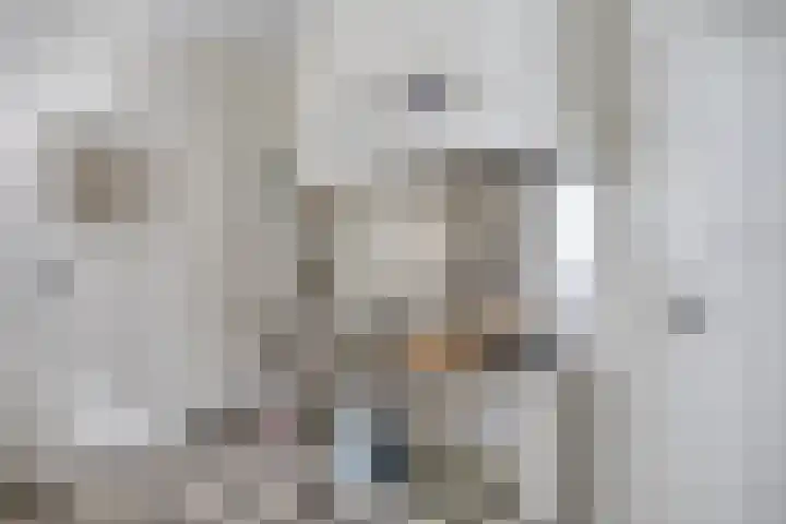 Treurenburgstraat 11 Eindhoven thumbnail 21