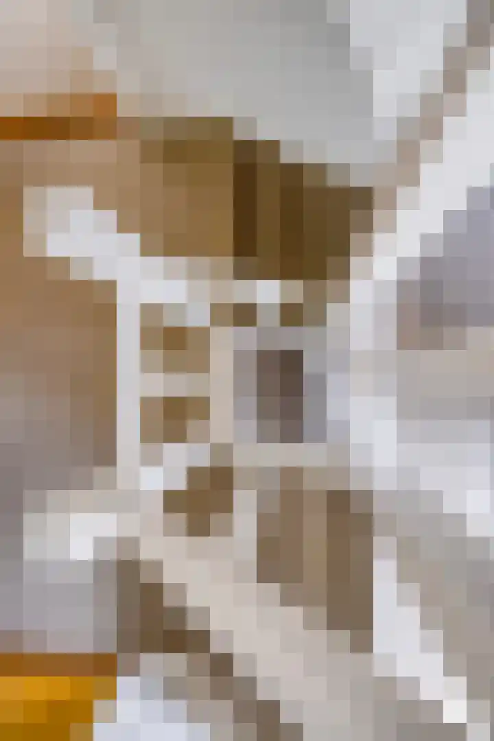 Treurenburgstraat 11 Eindhoven thumbnail 31