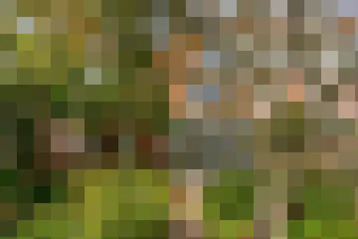 Treurenburgstraat 11 Eindhoven thumbnail 5
