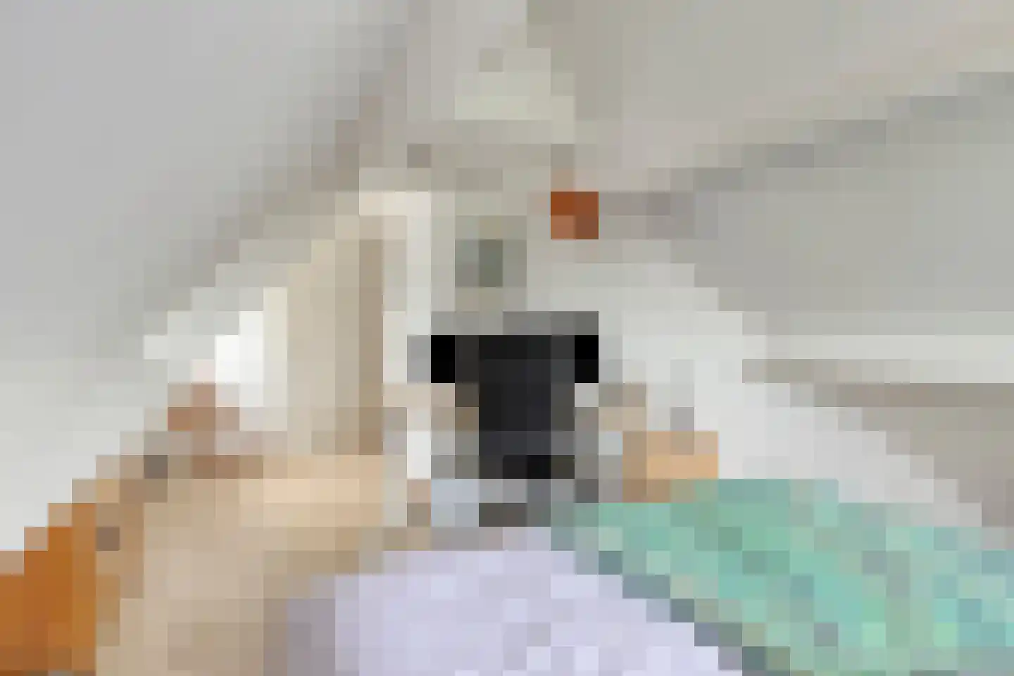 Treurenburgstraat 24 Eindhoven thumbnail 38