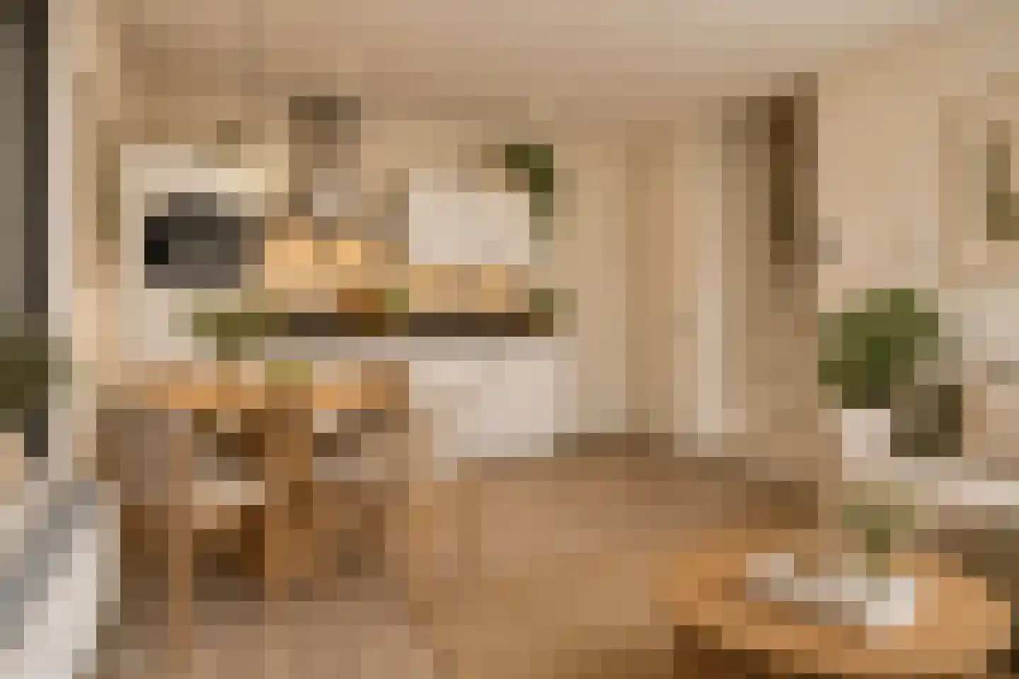 Treurenburgstraat 251 Eindhoven thumbnail 10