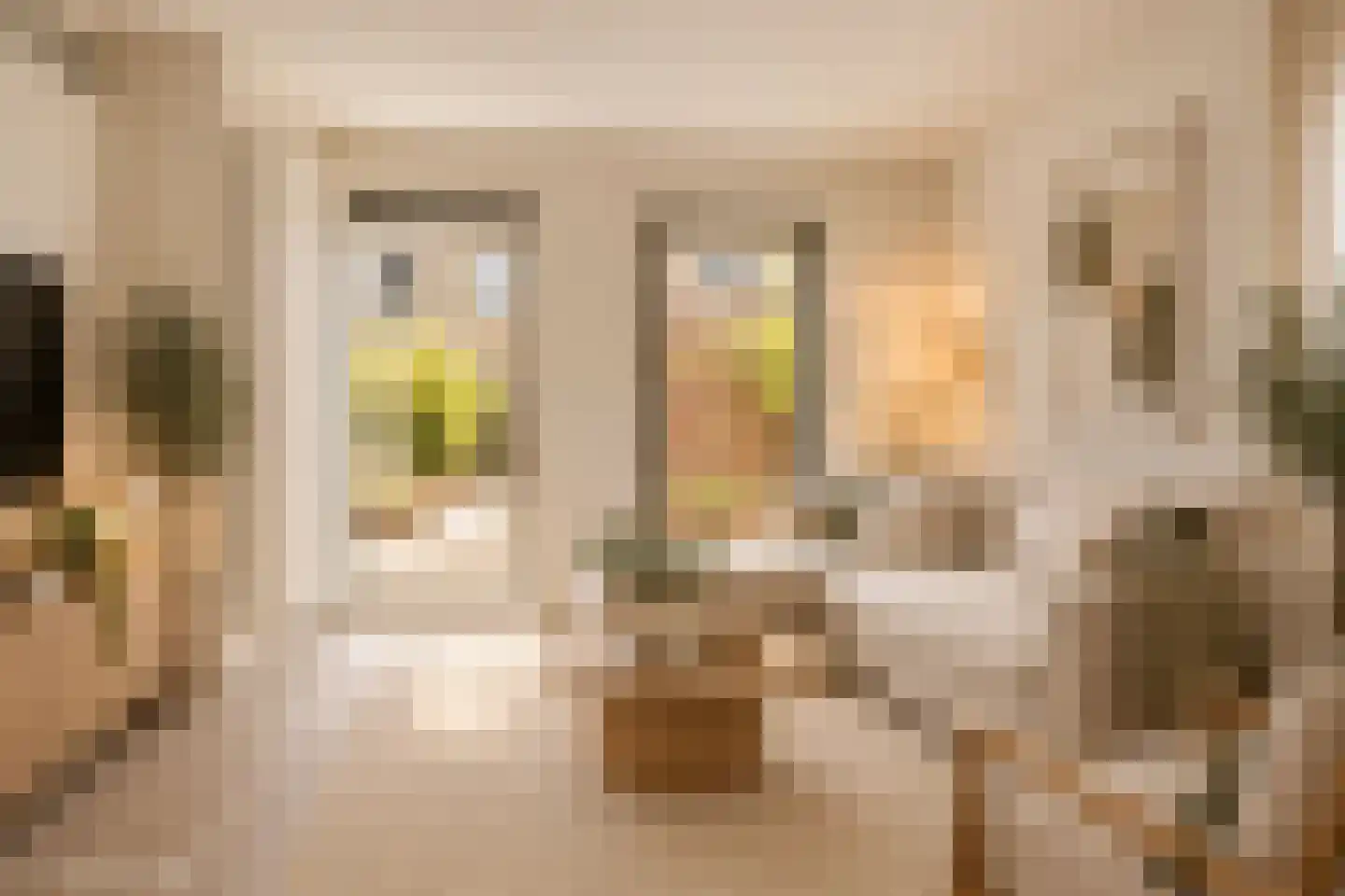 Treurenburgstraat 251 Eindhoven thumbnail 8