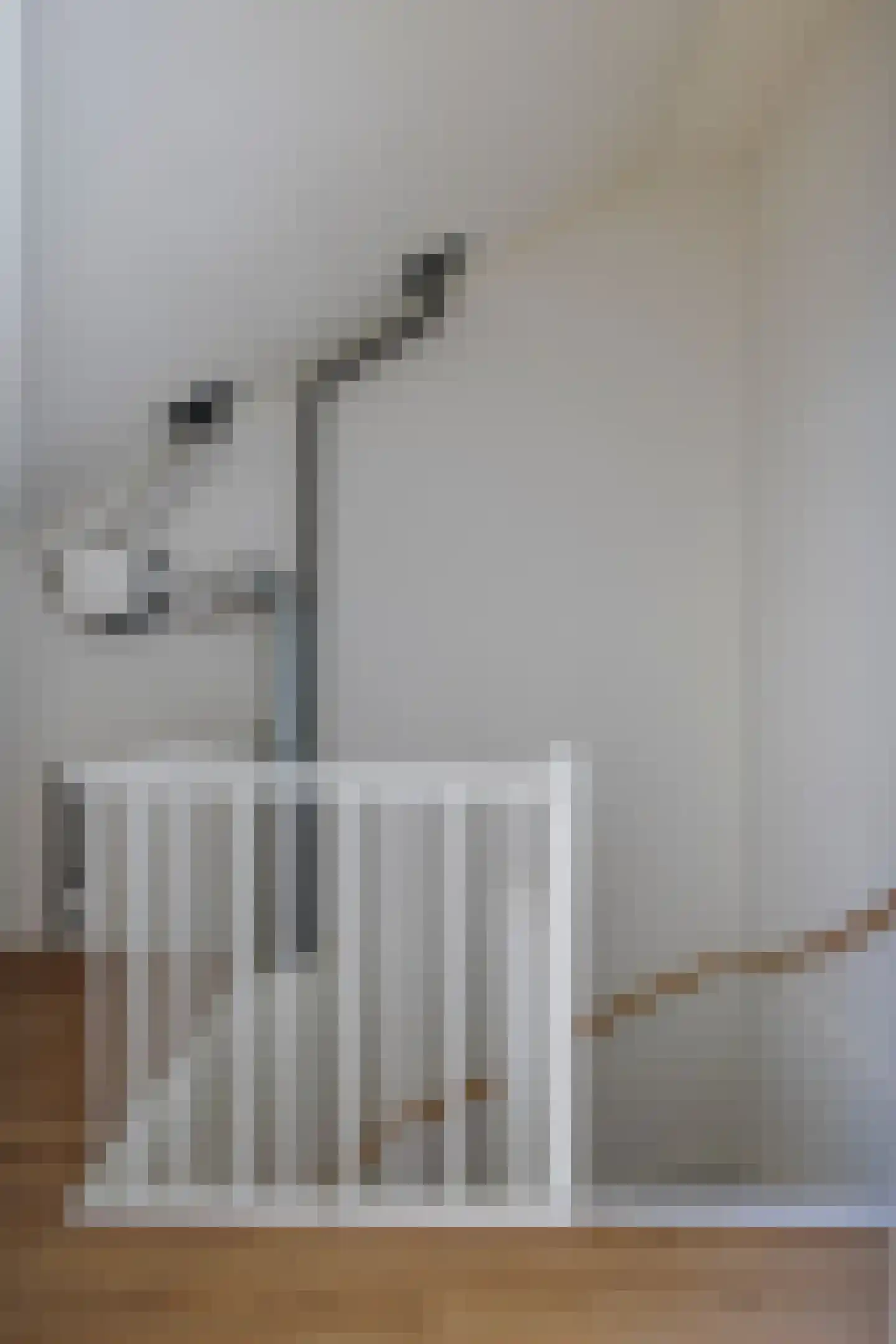 Treurenburgstraat 265 Eindhoven thumbnail 18