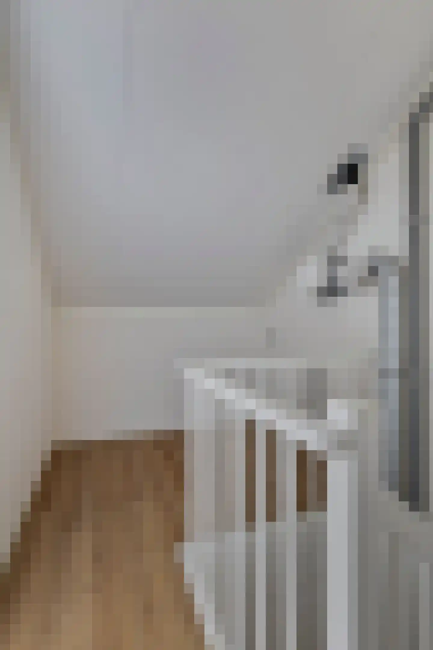 Treurenburgstraat 265 Eindhoven thumbnail 19