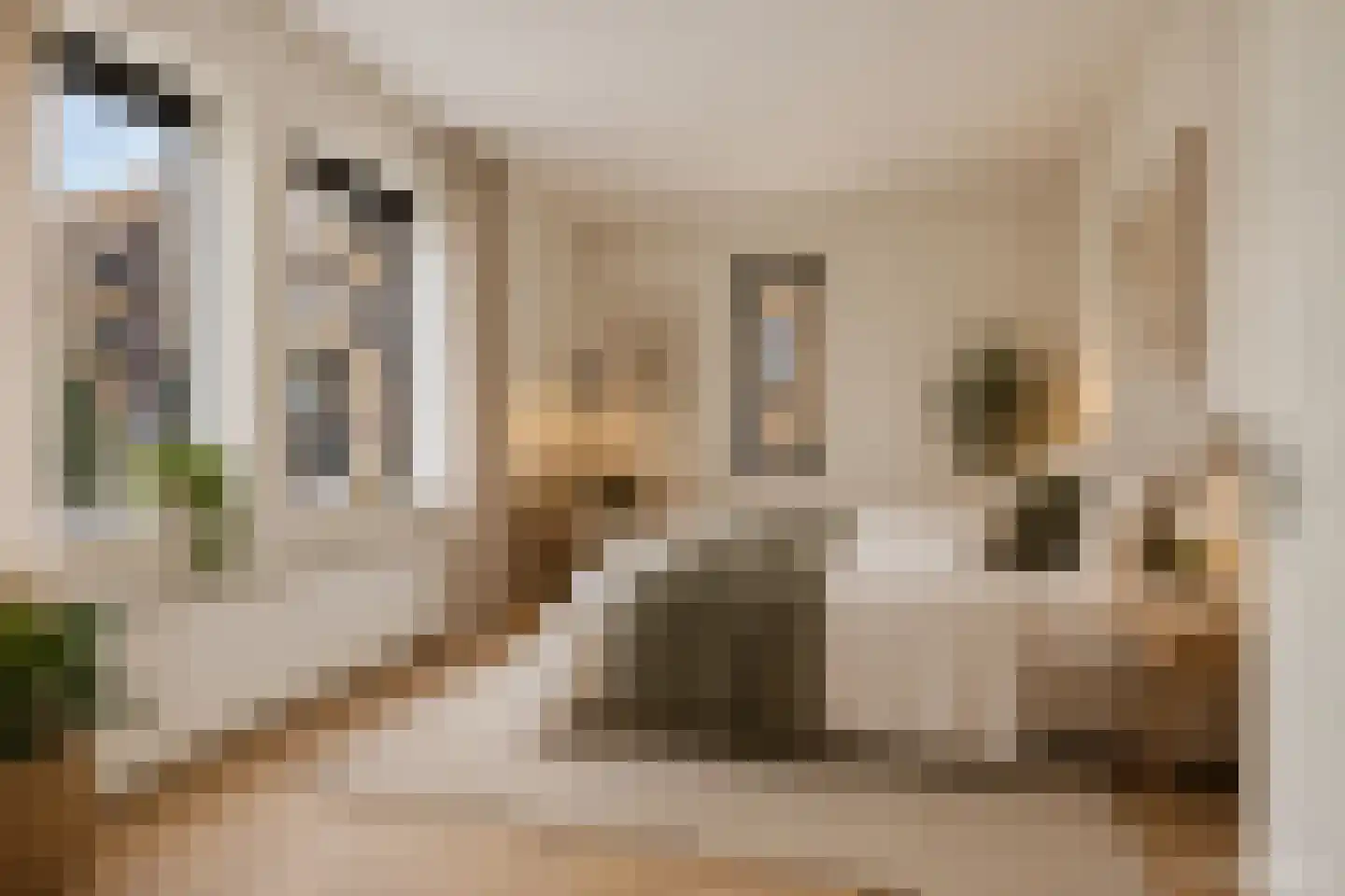 Treurenburgstraat 293 Eindhoven thumbnail 11