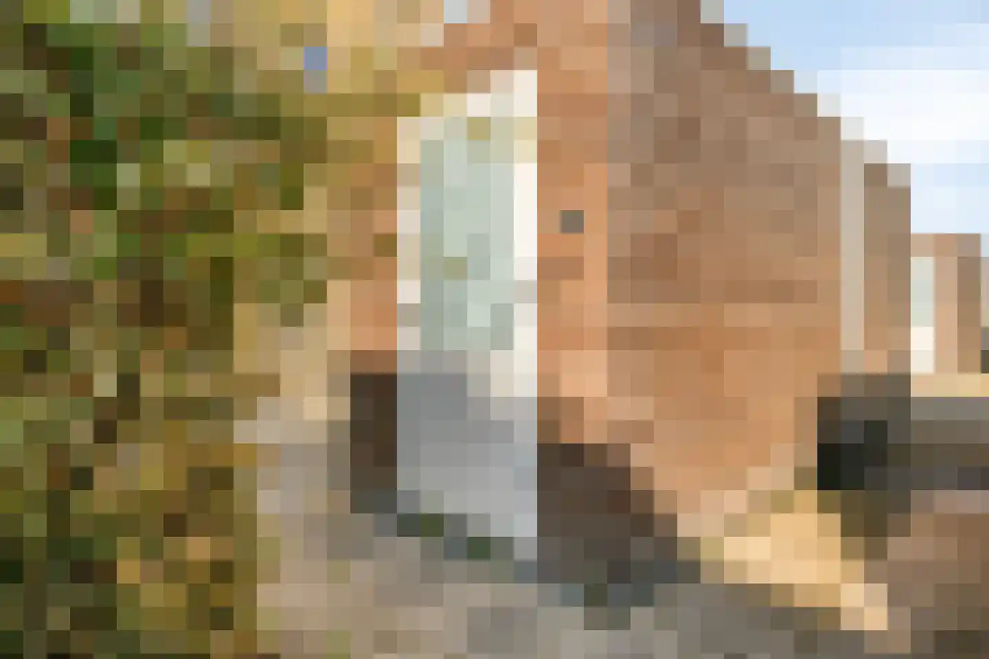Treurenburgstraat 293 Eindhoven thumbnail 20