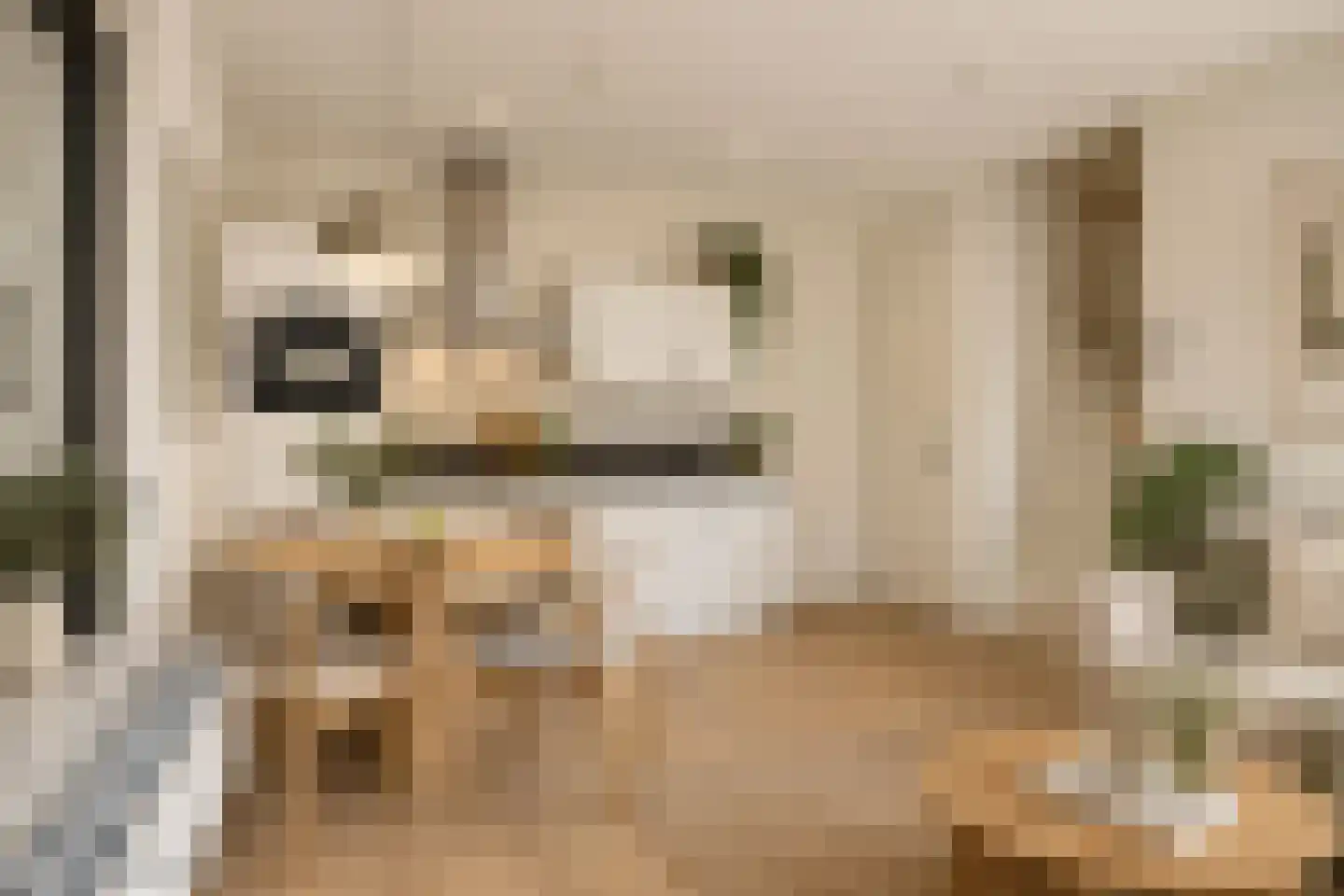Treurenburgstraat 293 Eindhoven thumbnail 5
