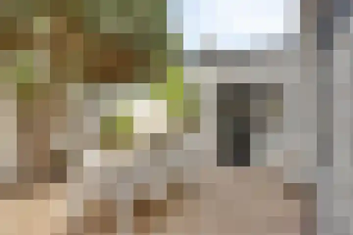 Treurenburgstraat 30 Eindhoven thumbnail 34
