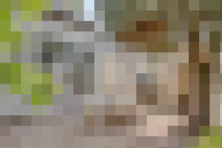 Treurenburgstraat 30 Eindhoven thumbnail 37