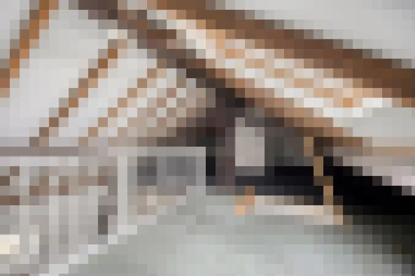 Treurenburgstraat 35 A Eindhoven thumbnail 17