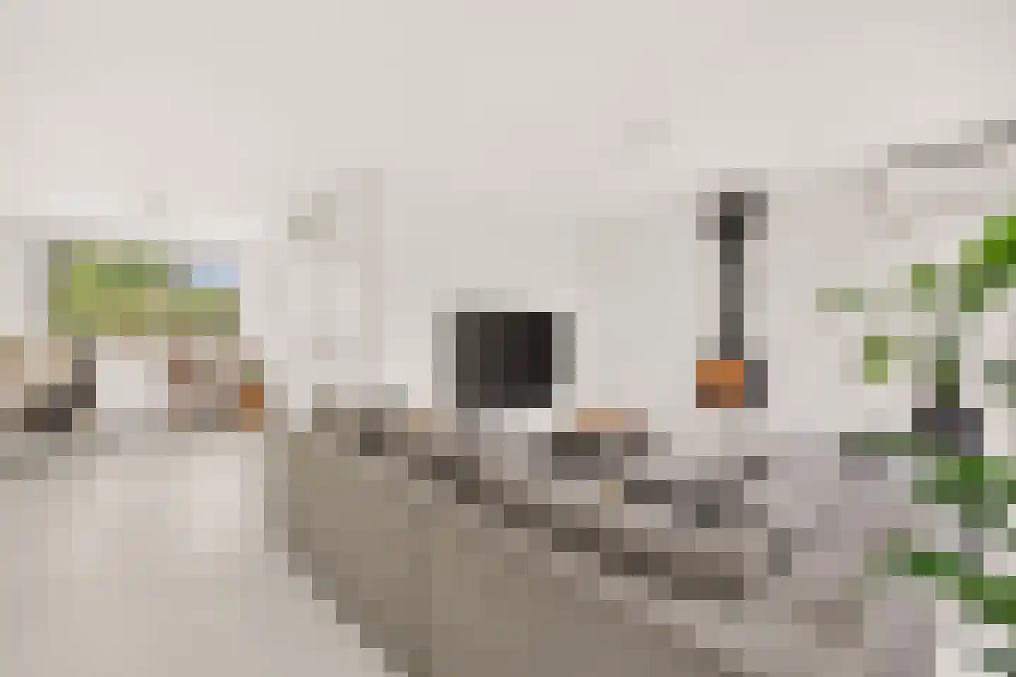 Treurenburgstraat 39 Eindhoven thumbnail 11