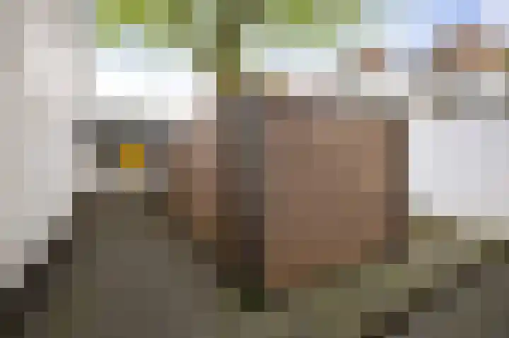 Treurnietsgang 7 F 3 Deventer thumbnail 16