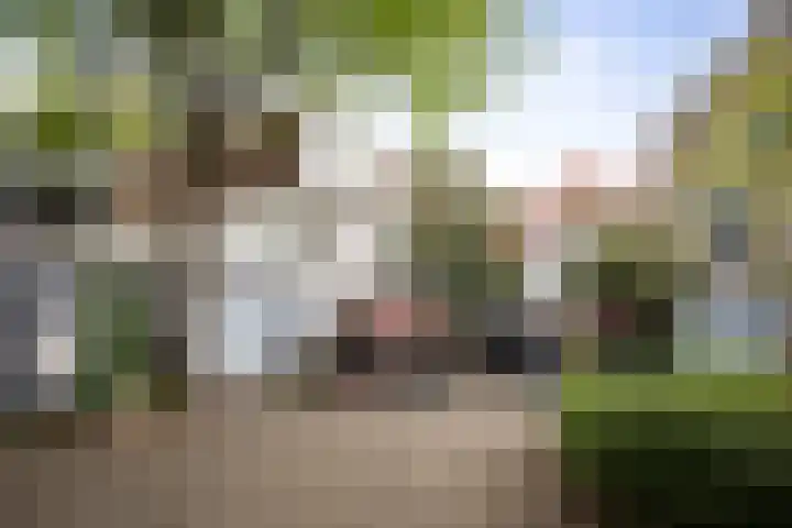 Treurnietsgang 7 F 3 Deventer thumbnail 18