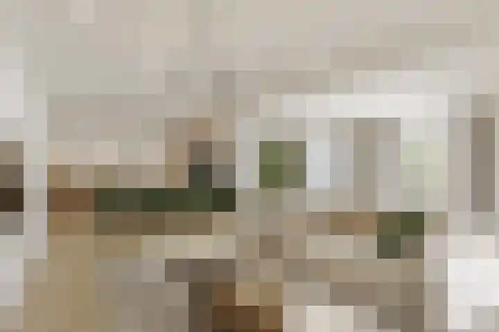Treurnietsgang 7 F 3 Deventer thumbnail 7