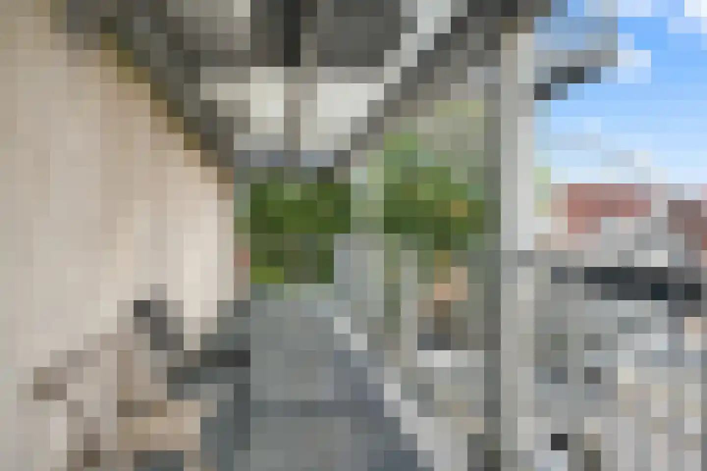 Treurnietsgang 7 F 5 Deventer thumbnail 17