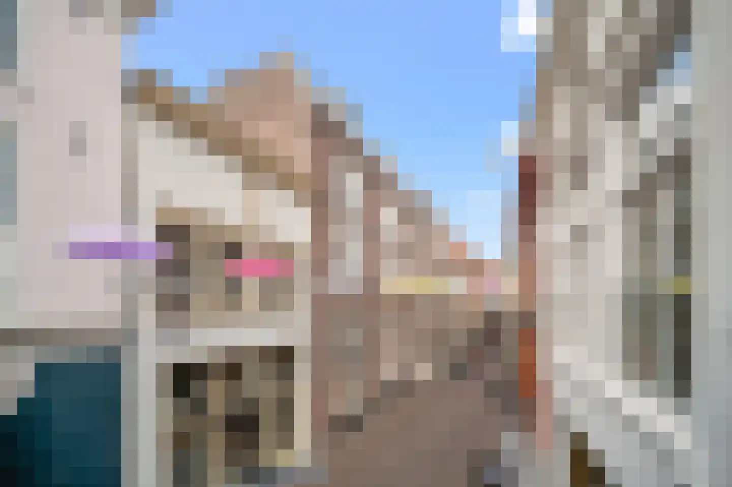 Treurnietsgang 7 F 5 Deventer thumbnail 18
