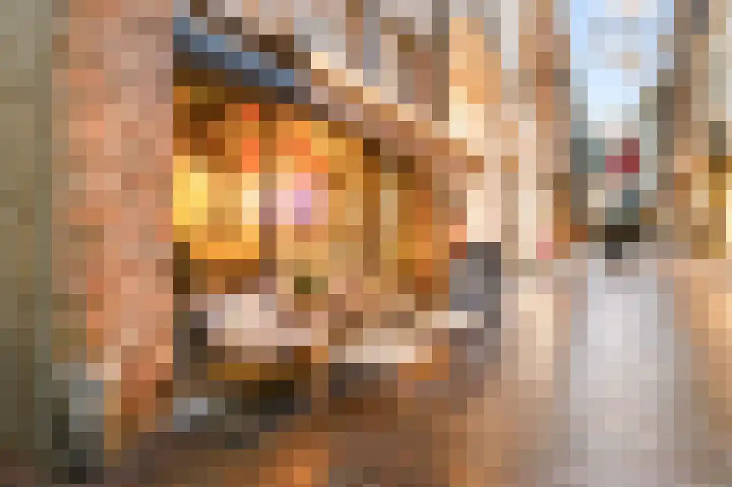 Treurnietsgang 7 F 5 Deventer thumbnail 22