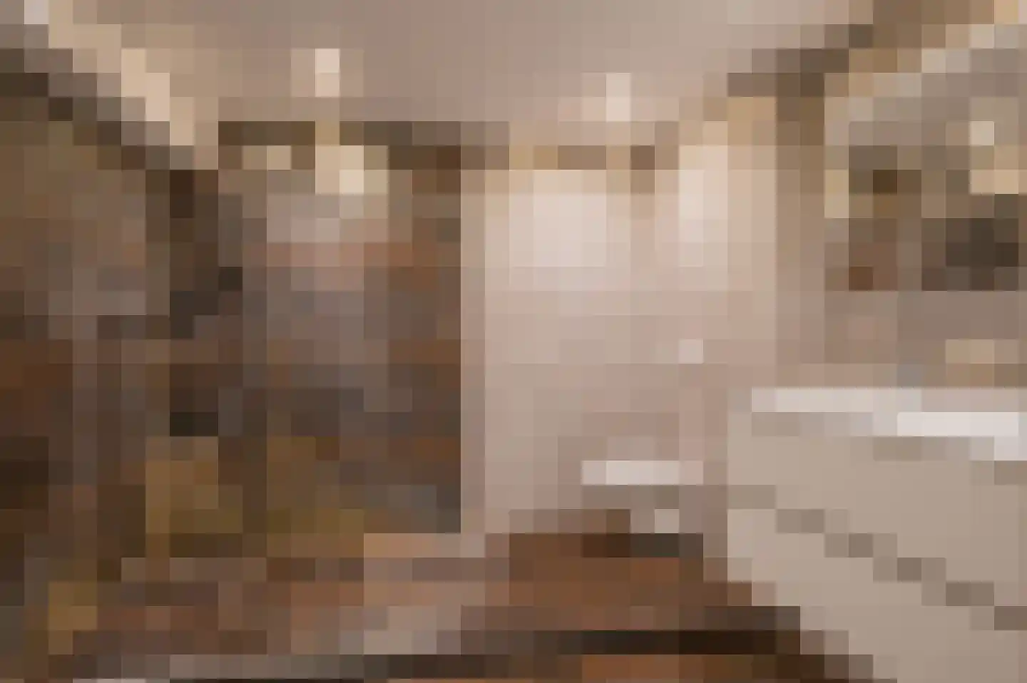 Treurnietsgang 7 F 6 Deventer thumbnail 17