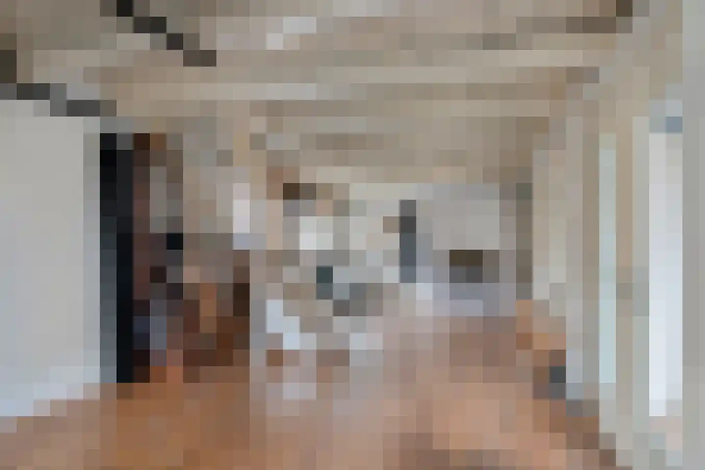 Treurnietsgang 9 Deventer thumbnail 12