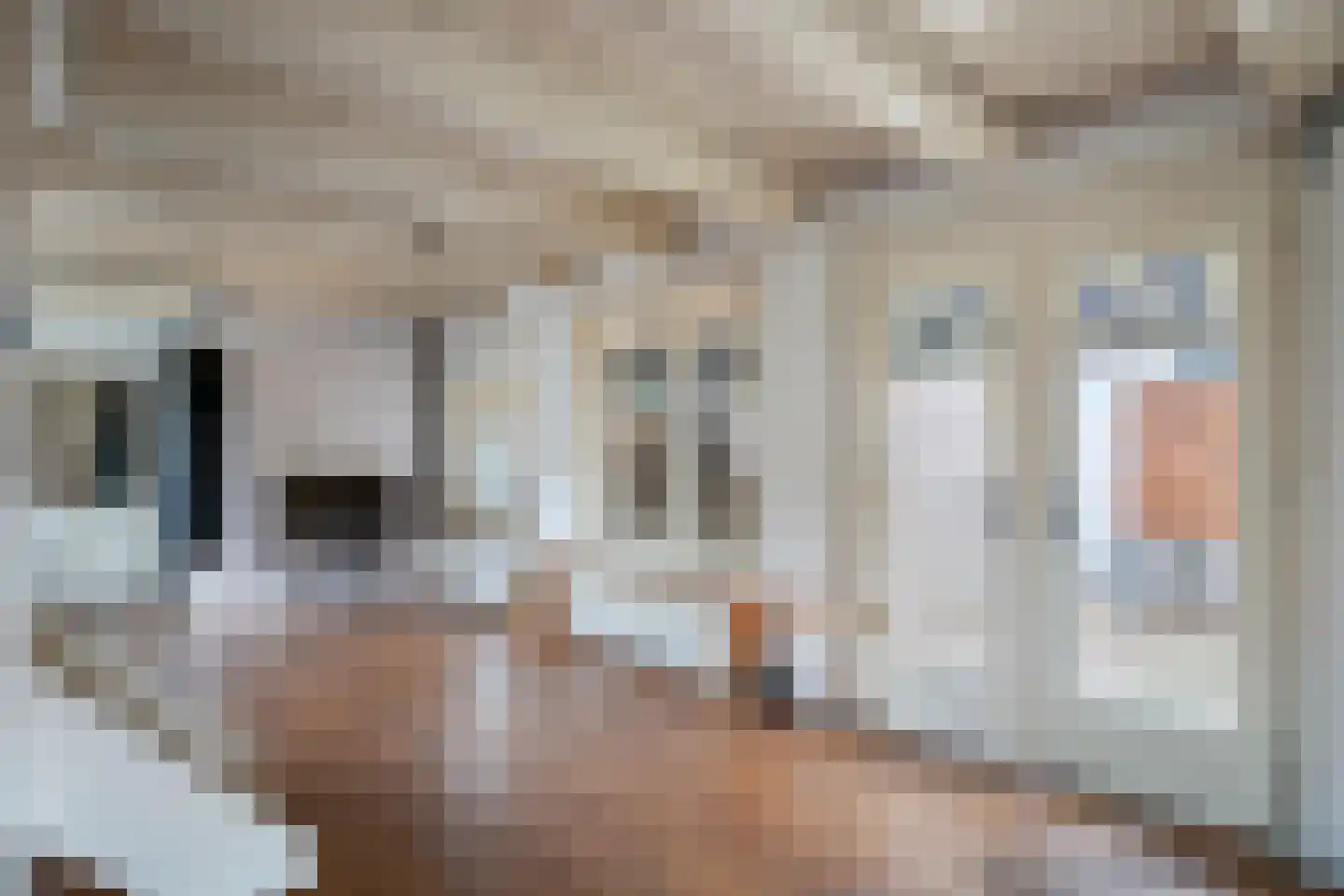 Treurnietsgang 9 Deventer thumbnail 13