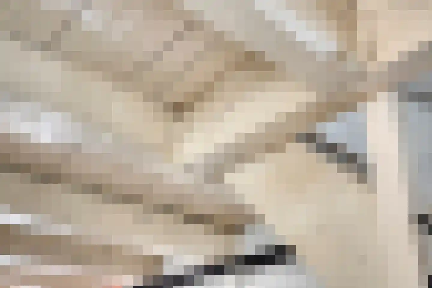 Treurnietsgang 9 Deventer thumbnail 15