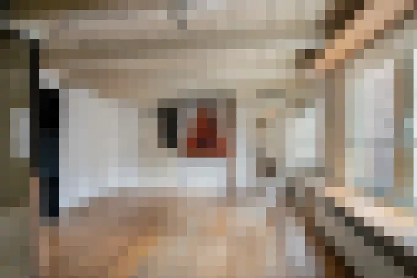 Treurnietsgang 9 Deventer thumbnail 20