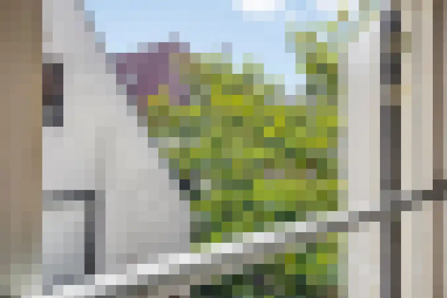 Treurnietsgang 9 Deventer thumbnail 21