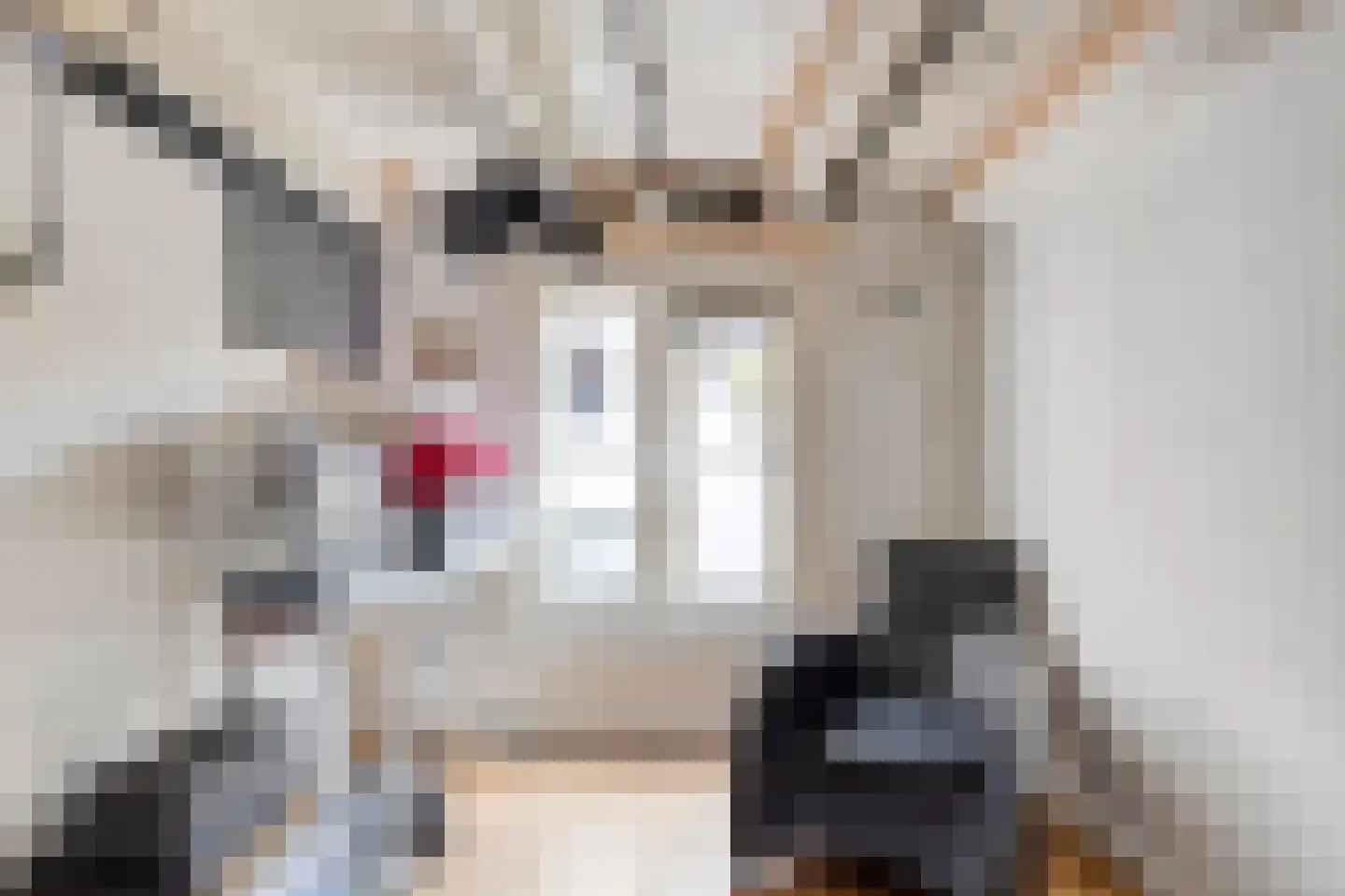 Treurnietsgang 9 Deventer thumbnail 26