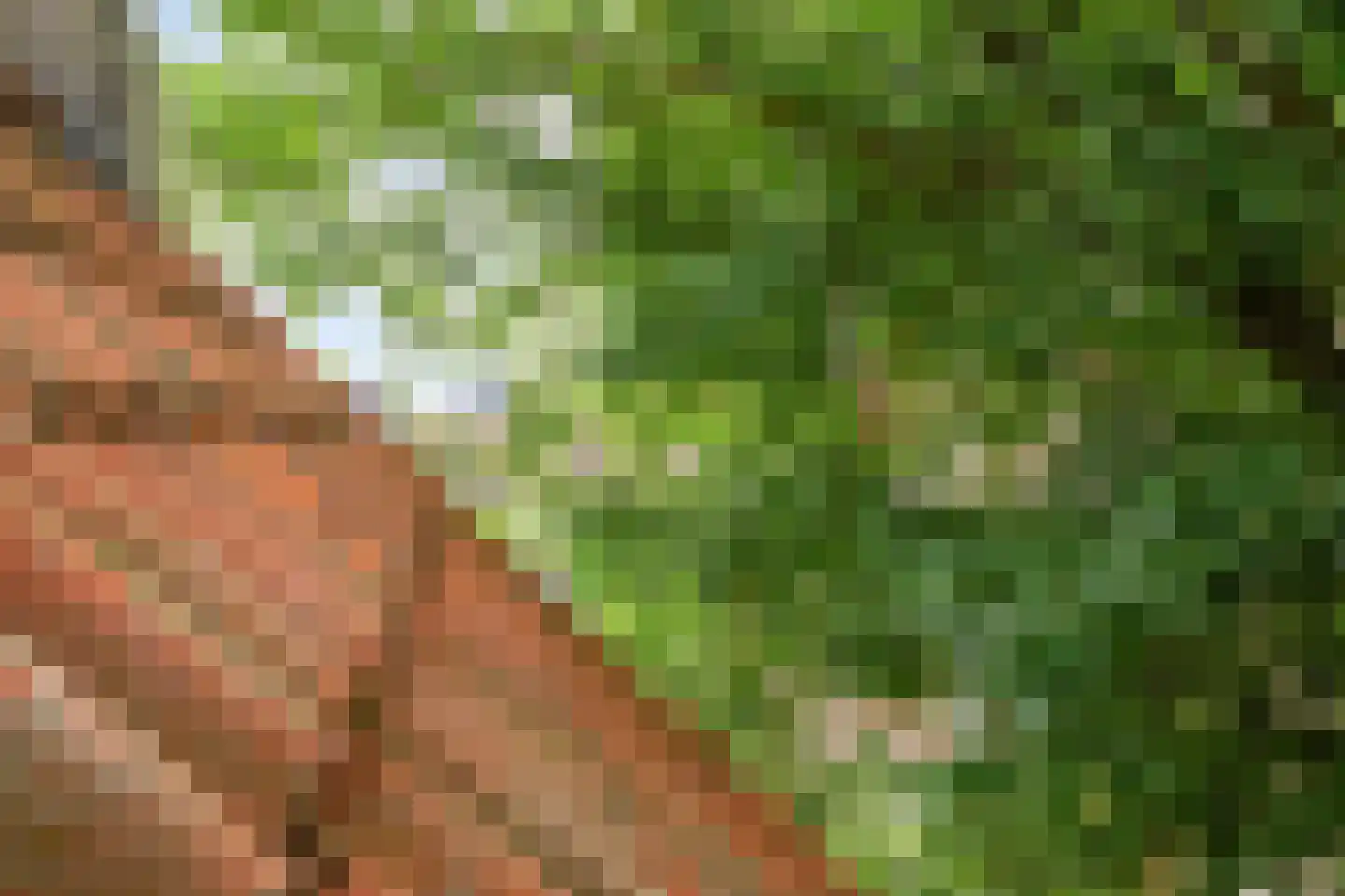 Treurnietsgang 9 Deventer thumbnail 29