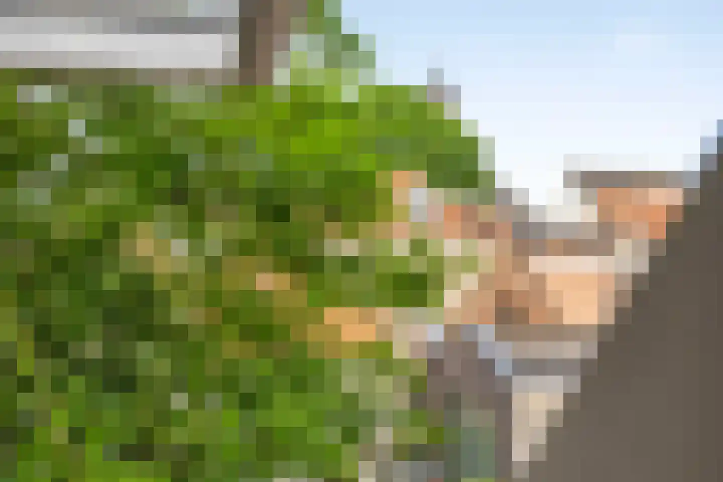 Treurnietsgang 9 Deventer thumbnail 33