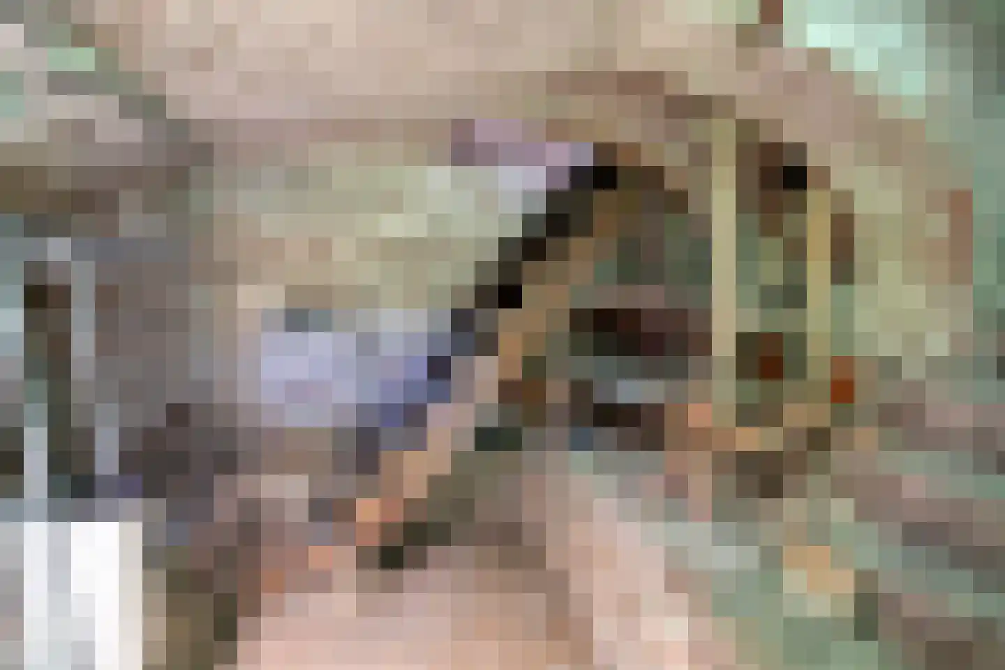Treurnietsgang 9 Deventer thumbnail 37