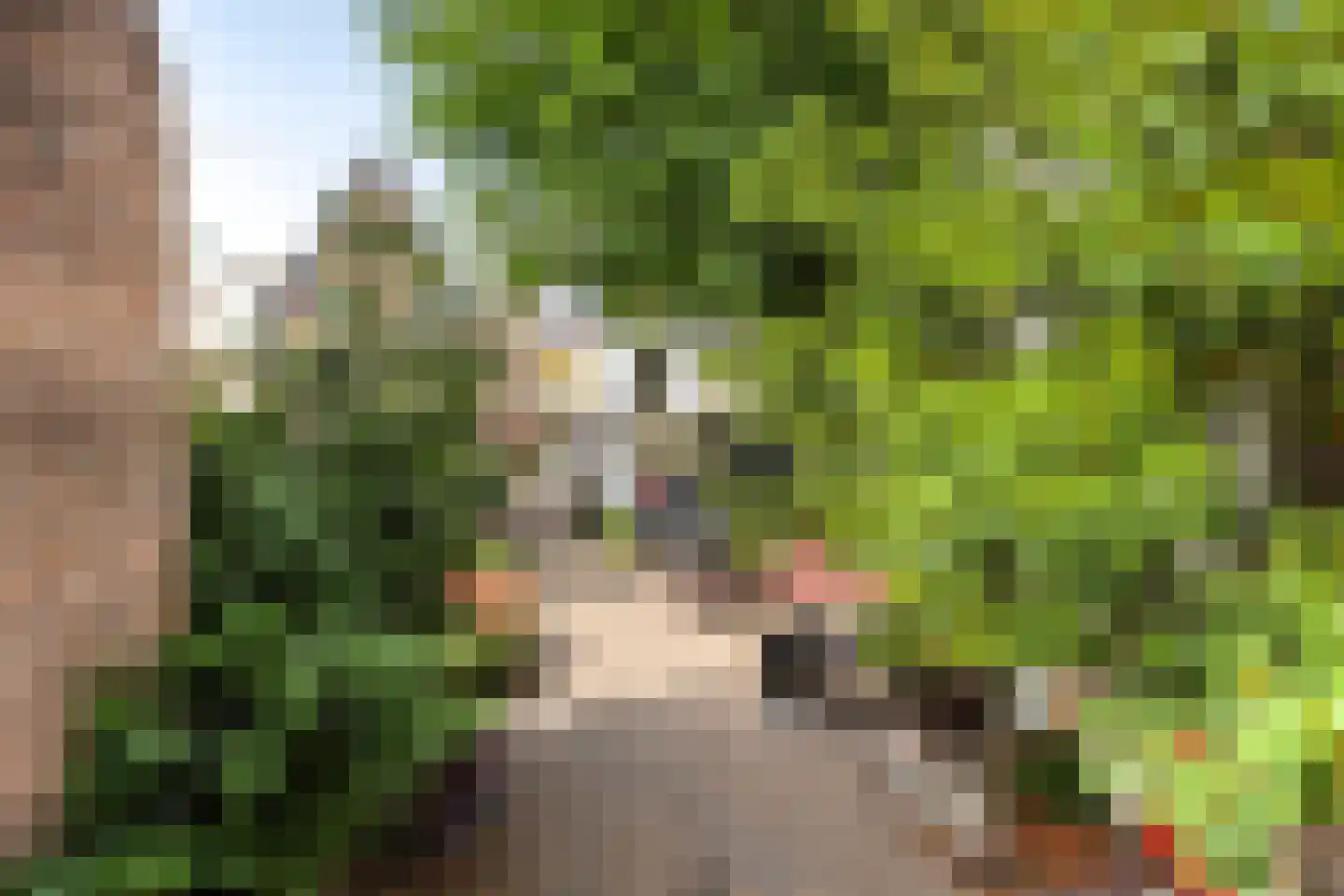 Treurnietsgang 9 Deventer thumbnail 39