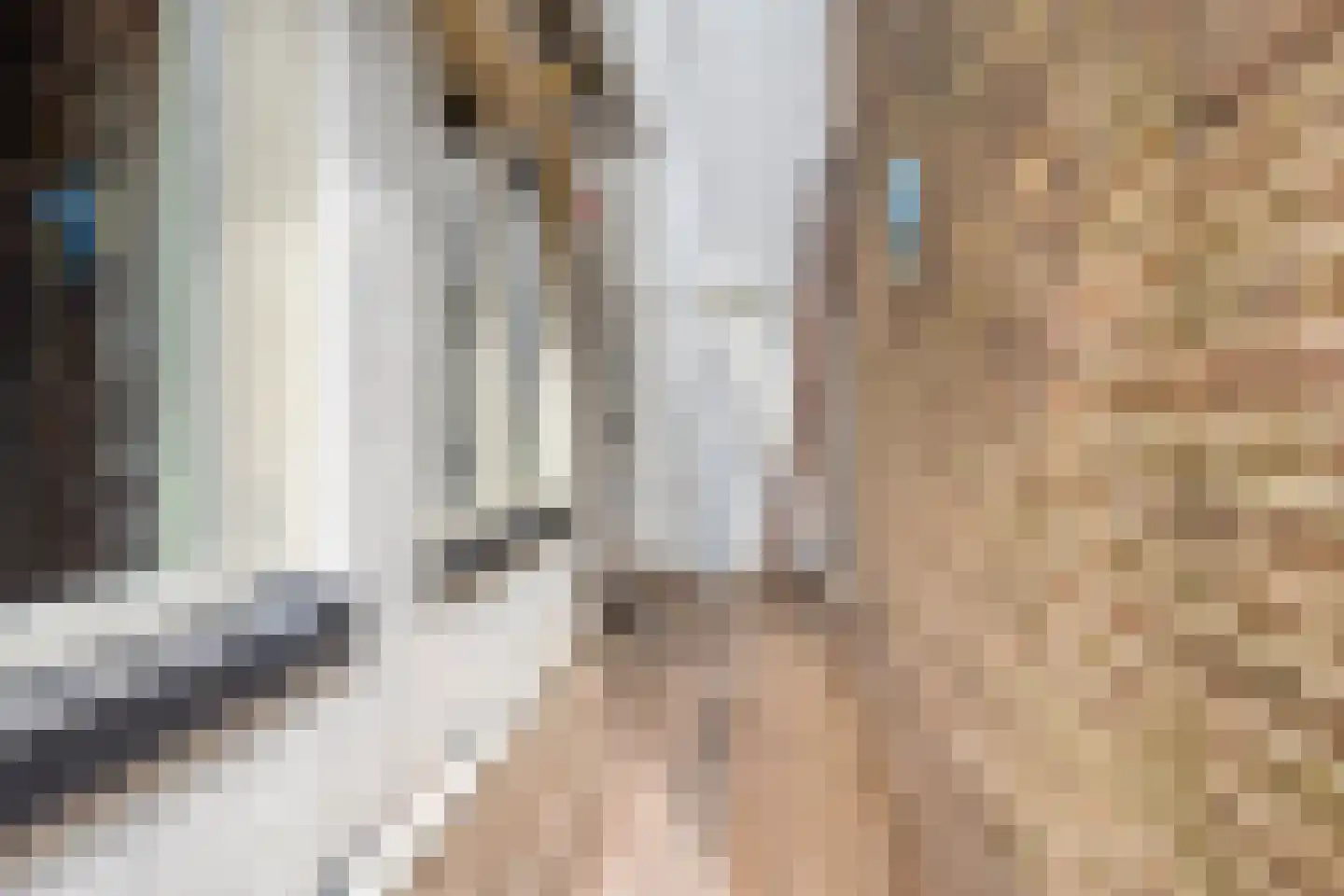 Treurnietsgang 9 Deventer thumbnail 49