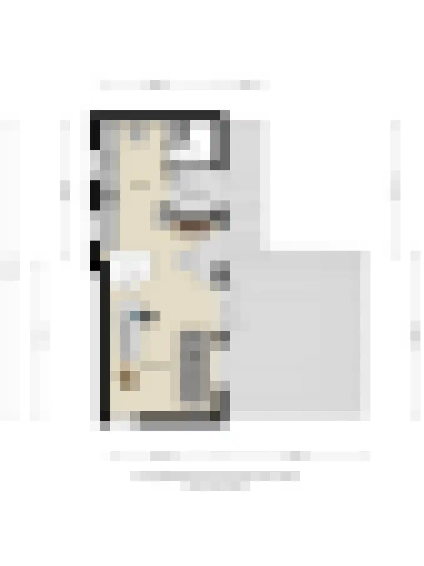 Treurnietsgang 9 Deventer thumbnail 56