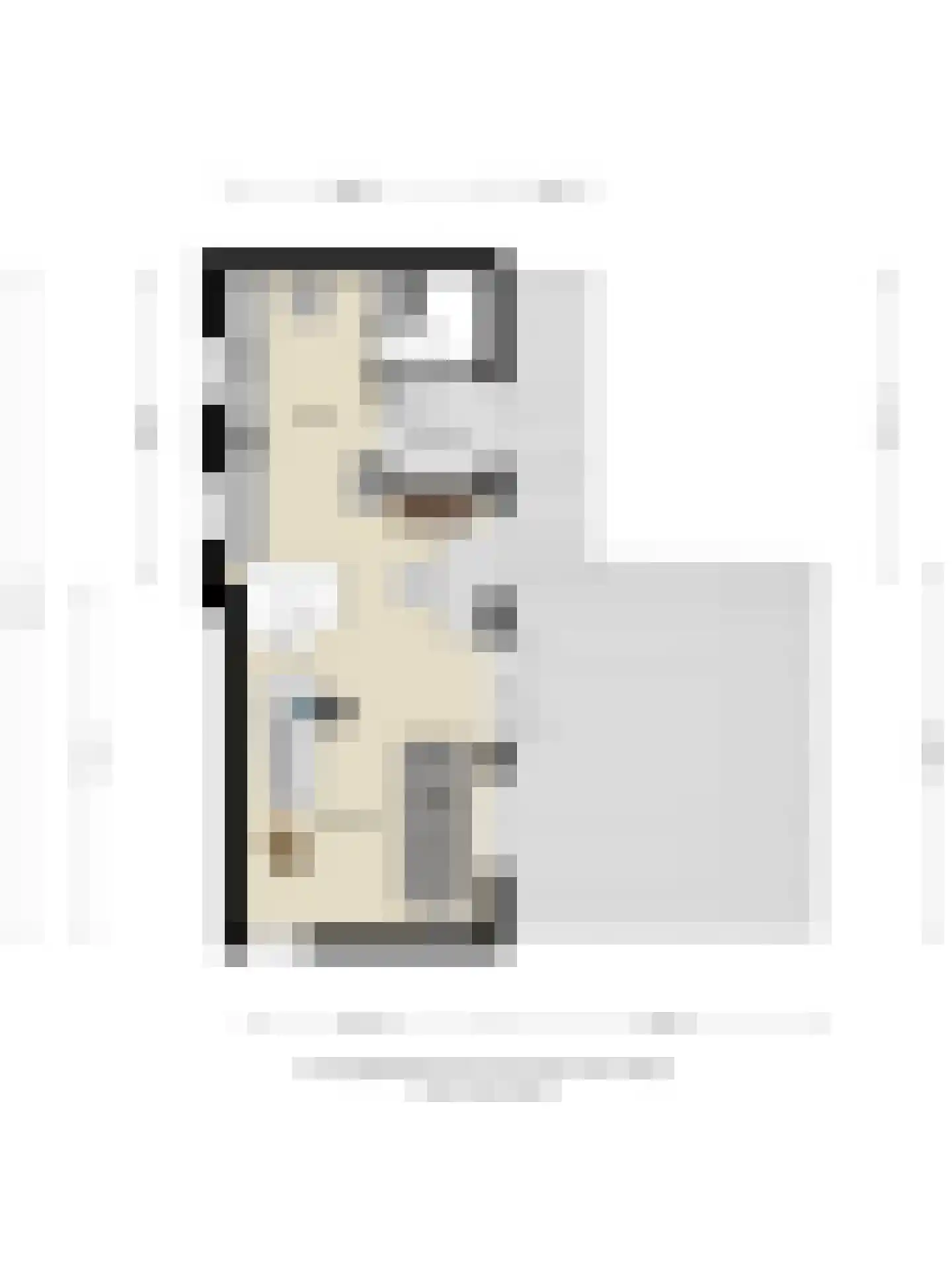 Treurnietsgang 9 Deventer thumbnail 9