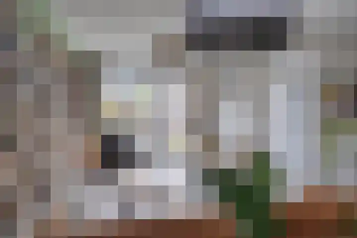 Treurwilg 1 Kampen thumbnail 10