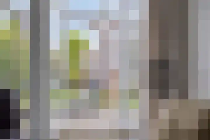 Treurwilg 1 Kampen thumbnail 11