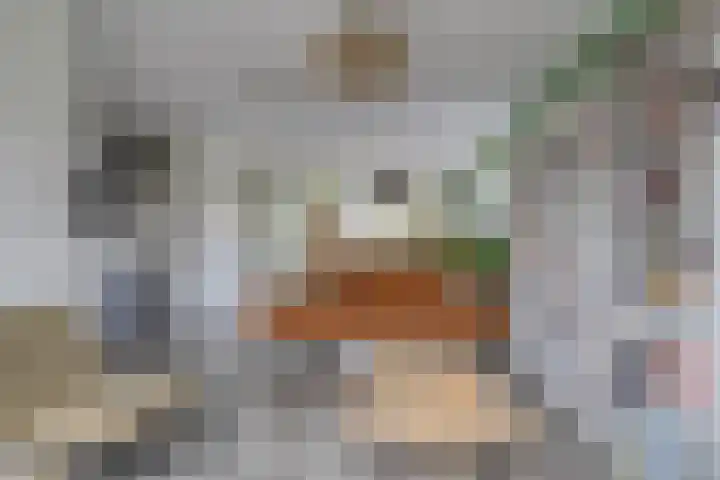 Treurwilg 1 Kampen thumbnail 12