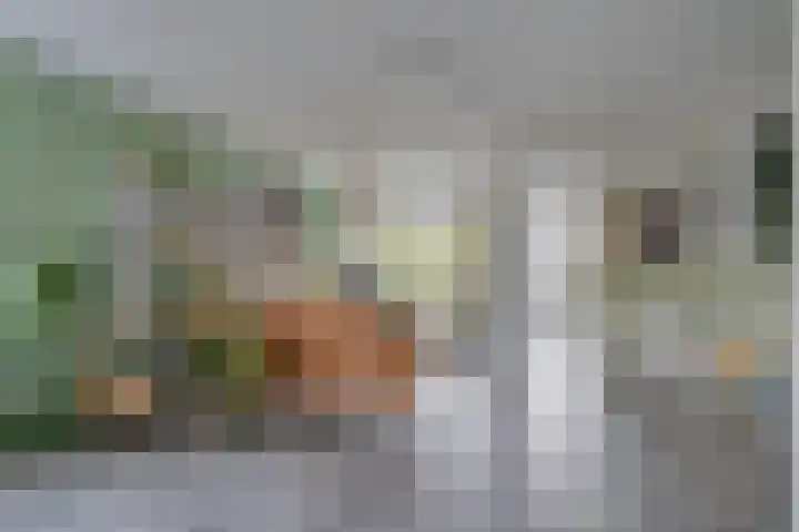 Treurwilg 1 Kampen thumbnail 13