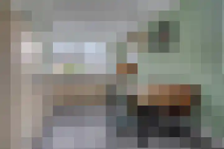 Treurwilg 1 Kampen thumbnail 14