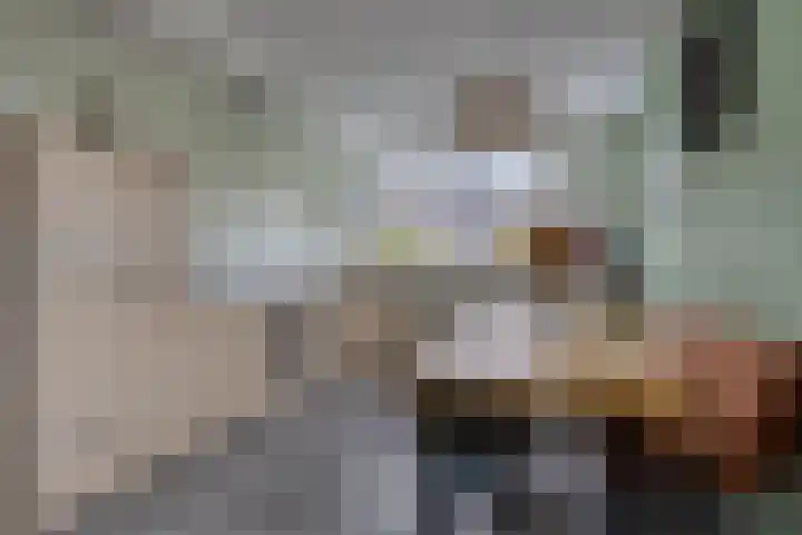Treurwilg 1 Kampen thumbnail 15