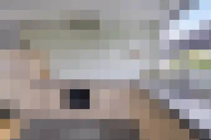 Treurwilg 1 Kampen thumbnail 16