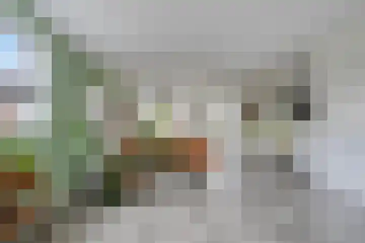 Treurwilg 1 Kampen thumbnail 17