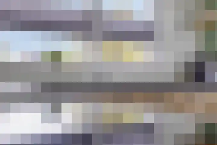 Treurwilg 1 Kampen thumbnail 18