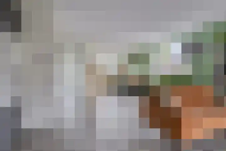 Treurwilg 1 Kampen thumbnail 20