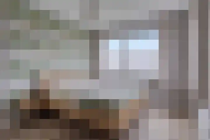 Treurwilg 1 Kampen thumbnail 24