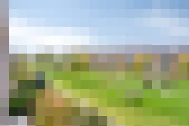 Treurwilg 1 Kampen thumbnail 26
