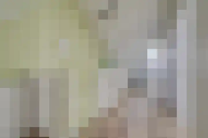 Treurwilg 1 Kampen thumbnail 32