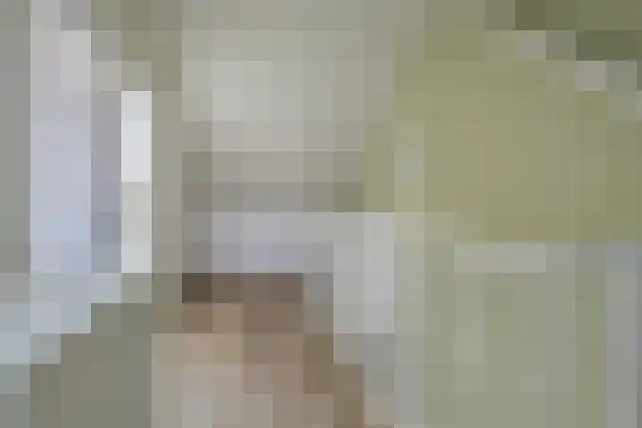 Treurwilg 1 Kampen thumbnail 33