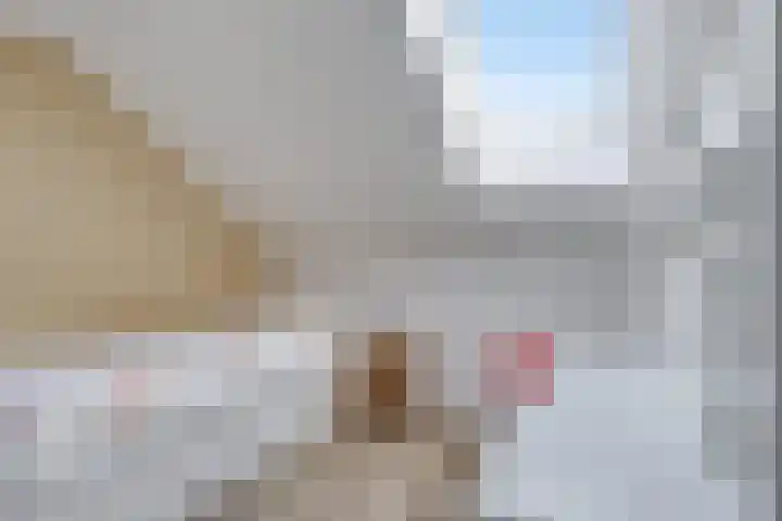 Treurwilg 1 Kampen thumbnail 36